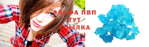 крисы Аркадак