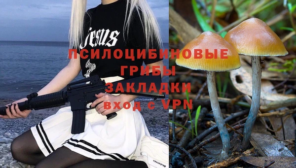 крисы Аркадак